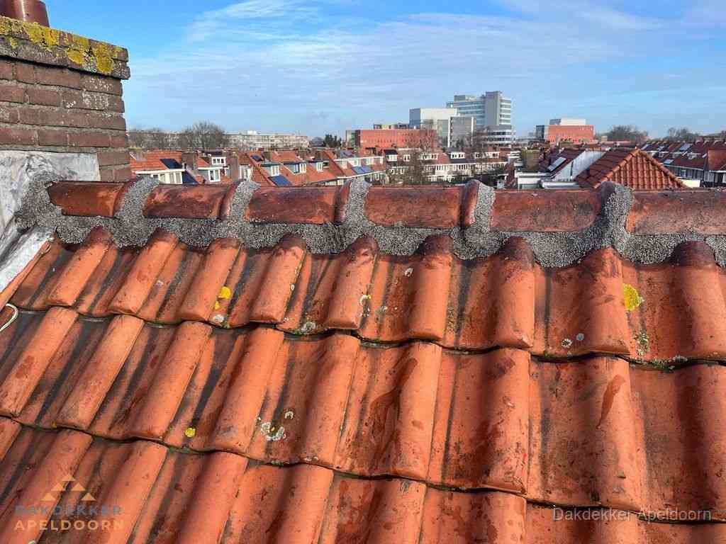 Apeldoorn Daken Renoveren