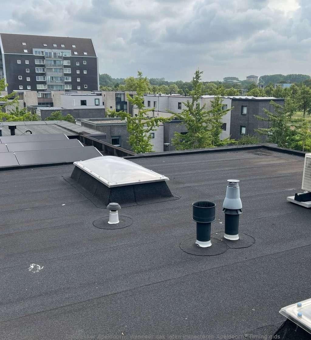 Dak Laten Inspecteren Apeldoorn