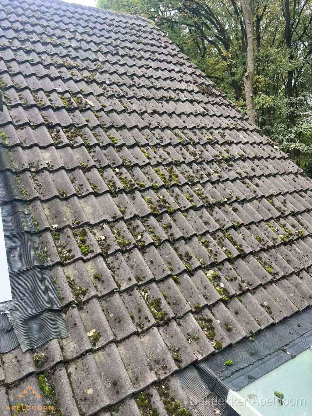 Verweerd pannendak met mosgroei dat renovatie nodig heeft in Apeldoorn