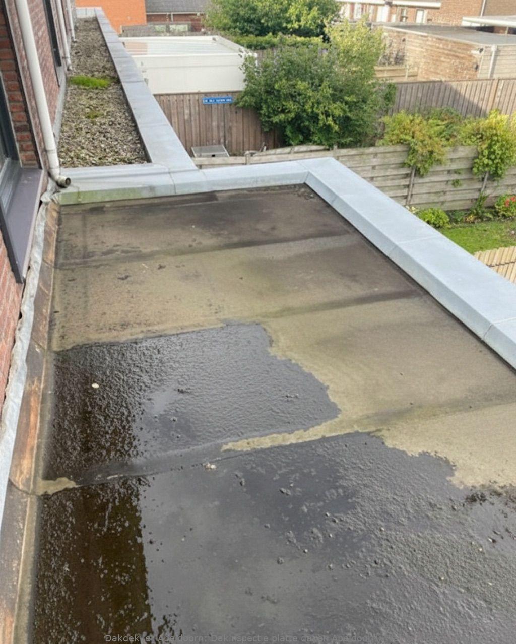 Dakinspectie Platte Daken Apeldoorn