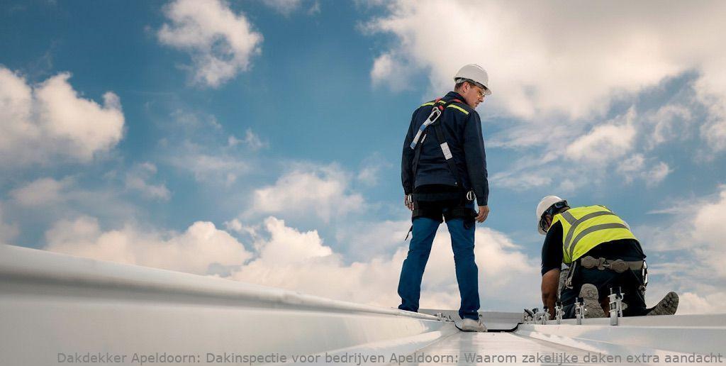 Dakinspectie Voor Bedrijven Apeldoorn