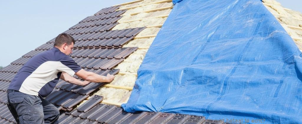Kosten Van Een Dakreparatie Apeldoorn
