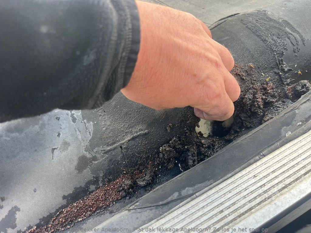 Lekkage Plat Dak Apeldoorn 1