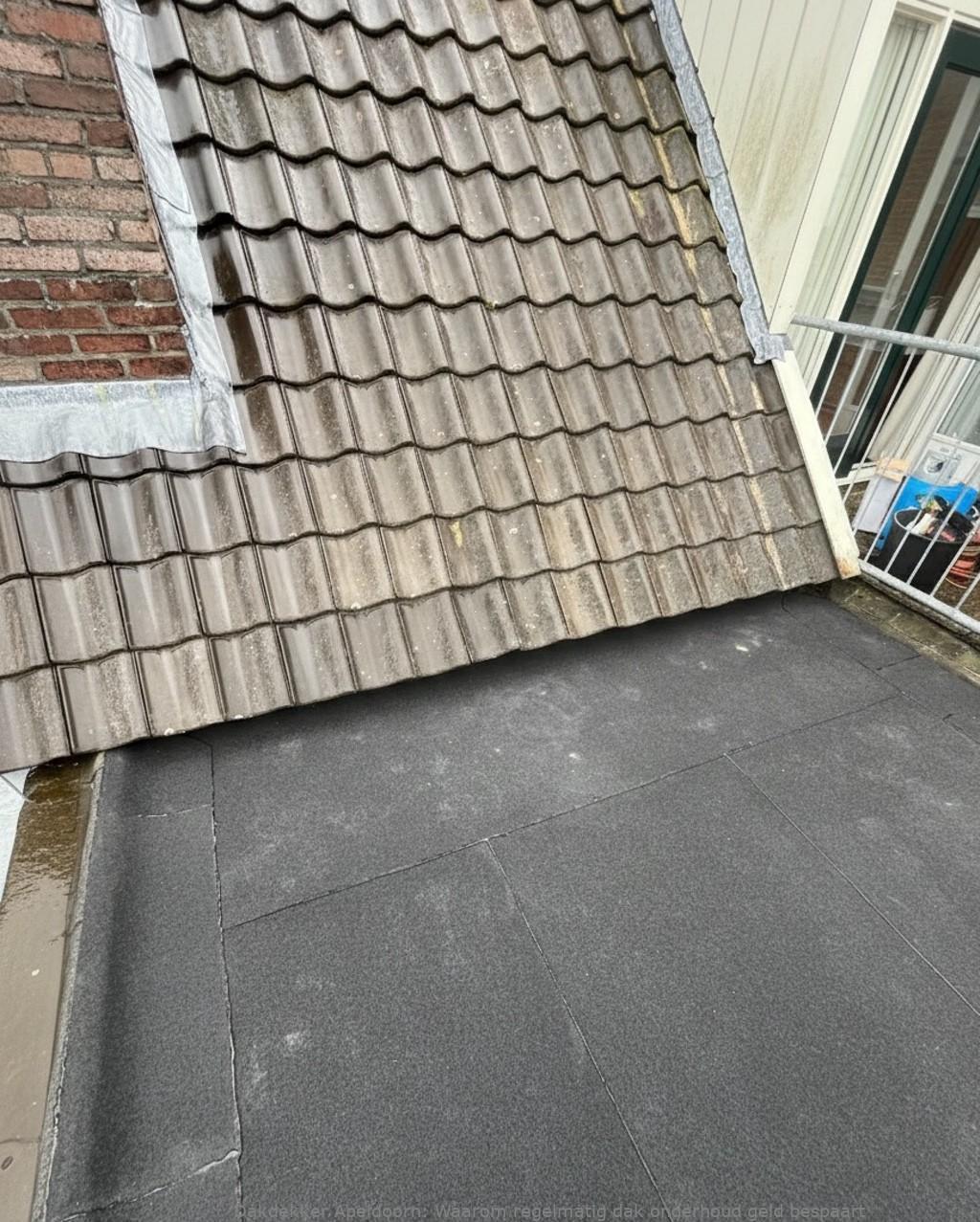 Onderhoud Dak Apeldoorn
