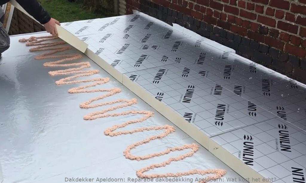 Reparatie Dakbedekking Apeldoorn