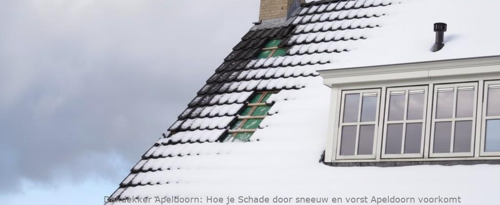 Schade Door Sneeuw En Vorst Apeldoorn