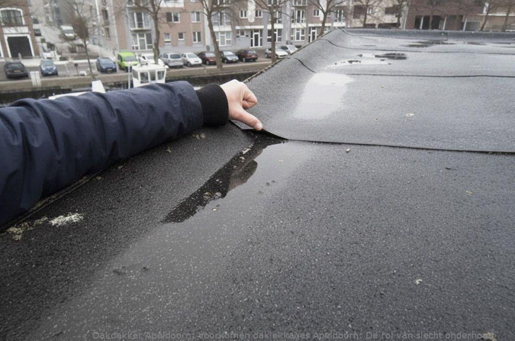 Voorkomen Daklekkages Apeldoorn 1